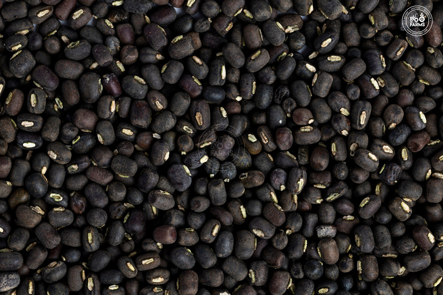 OOO Farms Whole Black Gram with Cover OOO Farms Whole Black Gram with Cover