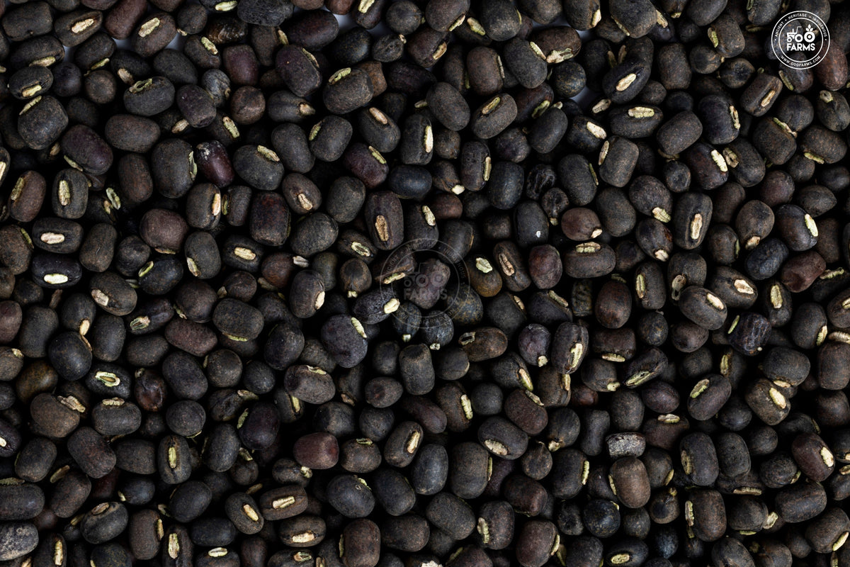 OOO Farms Whole Black Gram with Cover
