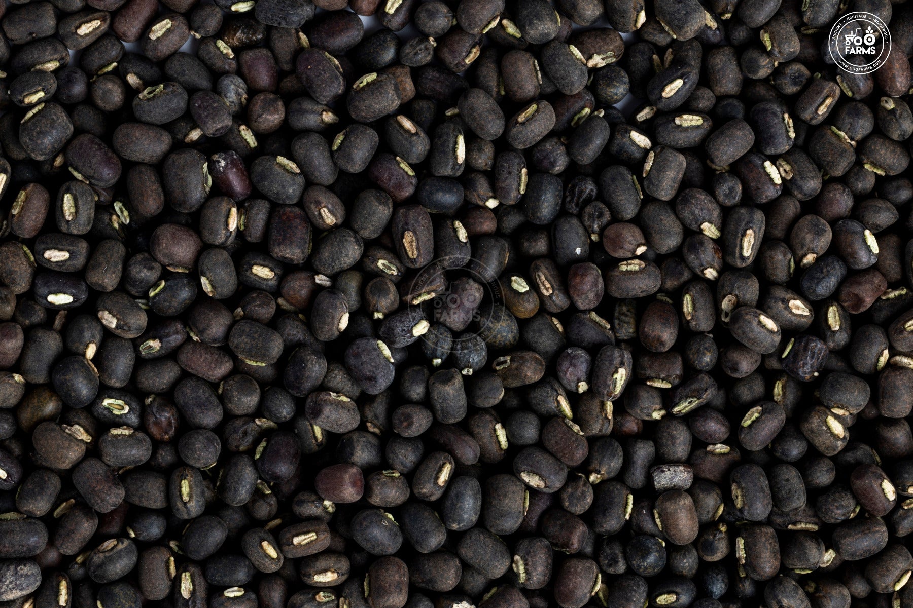 OOO Farms Whole Black Gram with Cover