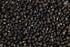 OOO Farms Whole Black Gram with Cover OOO Farms Whole Black Gram with Cover