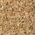 OOO Farms Wada Kolam Rice (Unpolished) OOO Farms Wada Kolam Rice (Unpolished)
