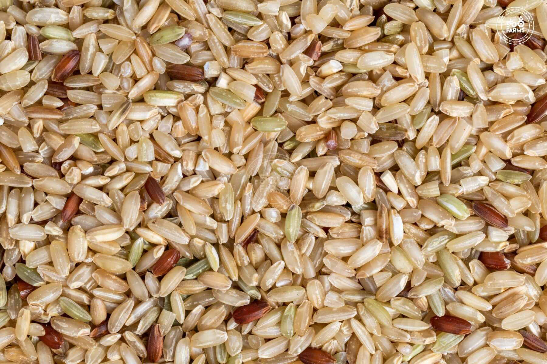 OOO Farms Warangal Rice (Unpolished)