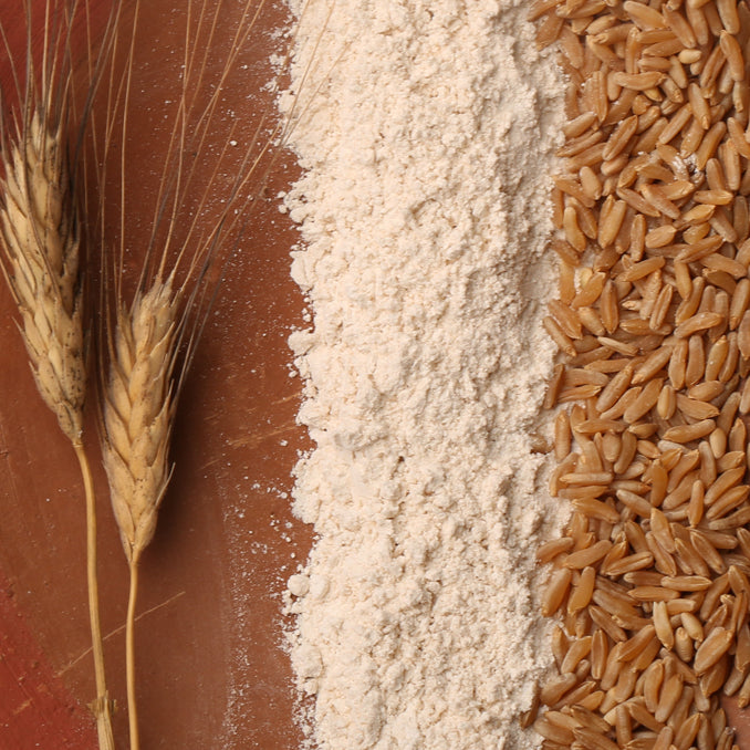OOO Farms Kalibal Wheat Flour