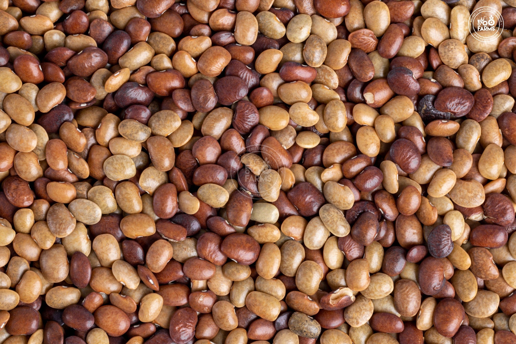 OOO Farms Whole Dongar Horsegram