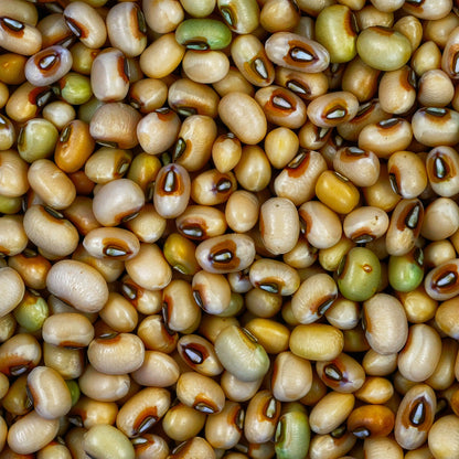 White Cowpea / Safed Chawli / सफेद चवळी / सफेद लोबिया