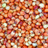 Red Sorghum / Red Jowar / लाल चिकणी जुवार