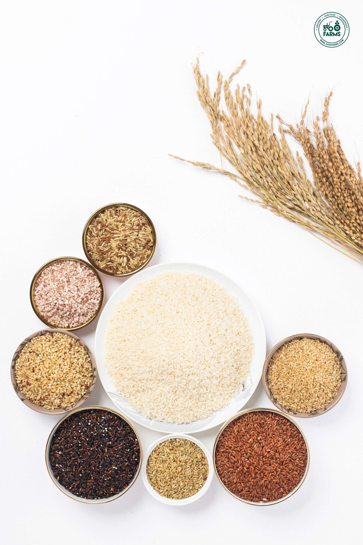 Rice Varieties