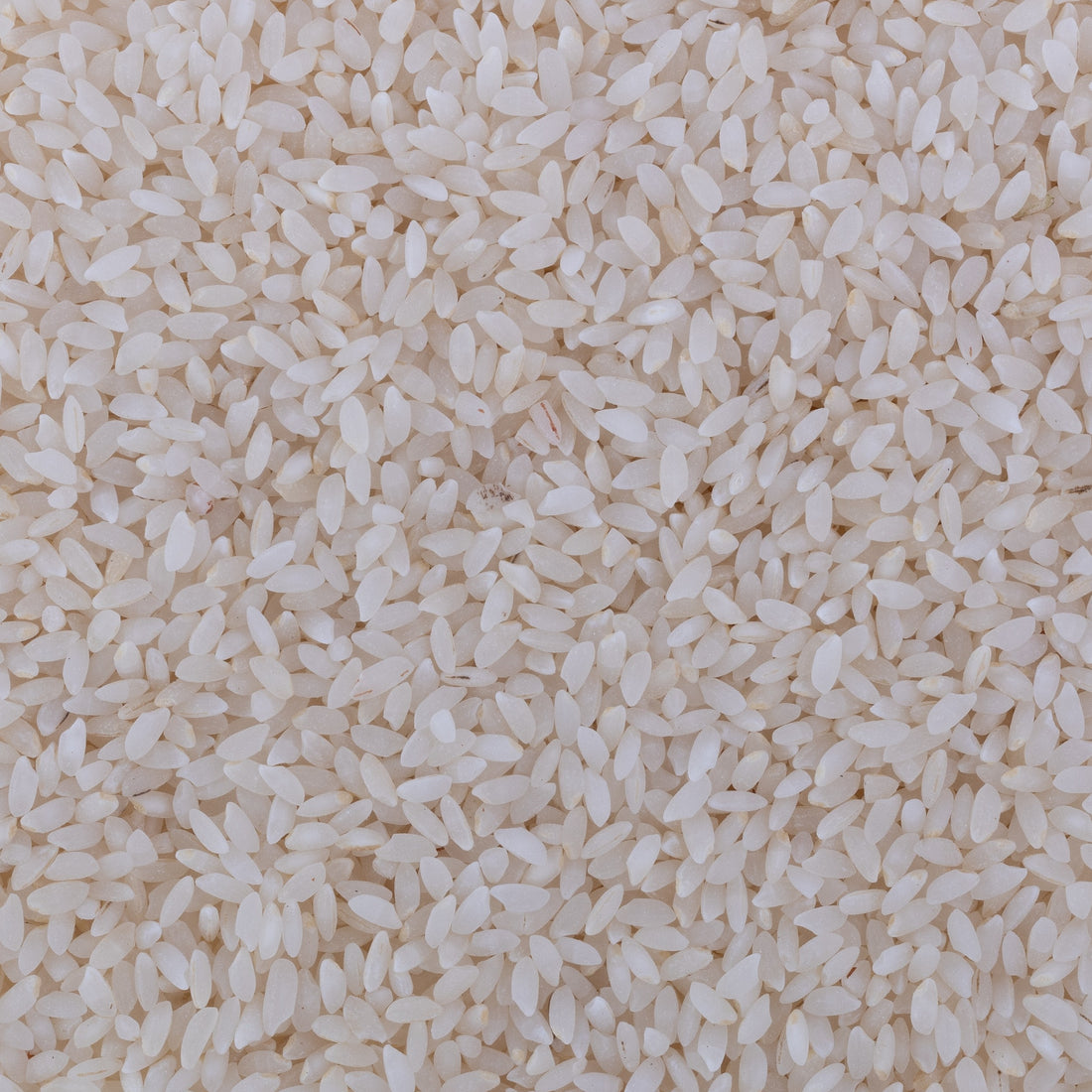Ambemohar Kajal Rice (Semipolished) Ambemohar Kajal Rice (Semipolished)