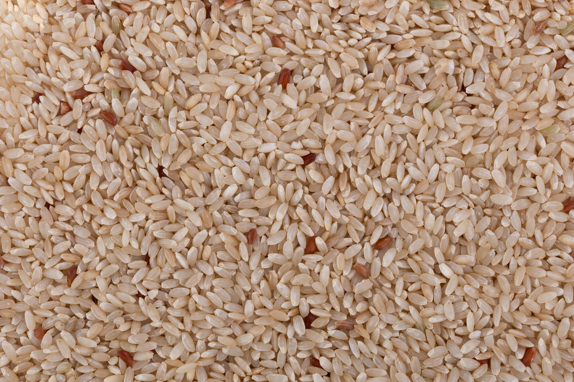 Ambemohar Kajal Rice (Unpolished) – OOO Farms