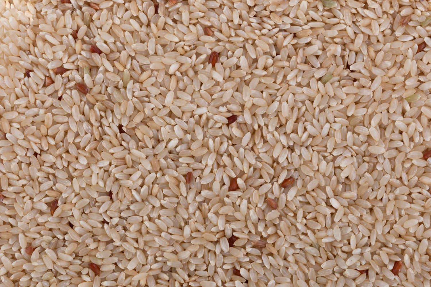 Ambemohar Kajal Rice (Unpolished)