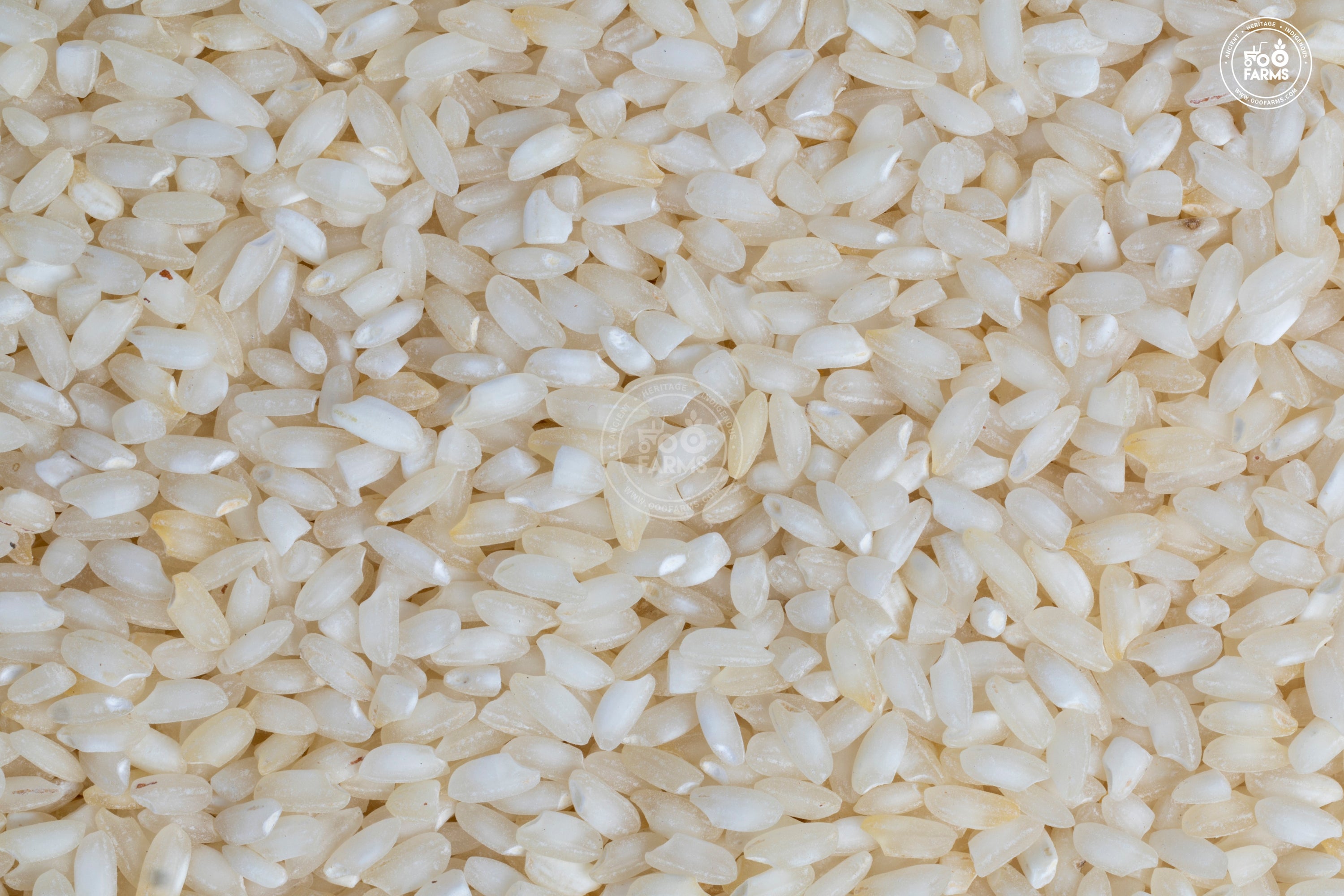 Rice – OOO Farms