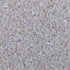 Lal Basmati Rice (Semipolished)