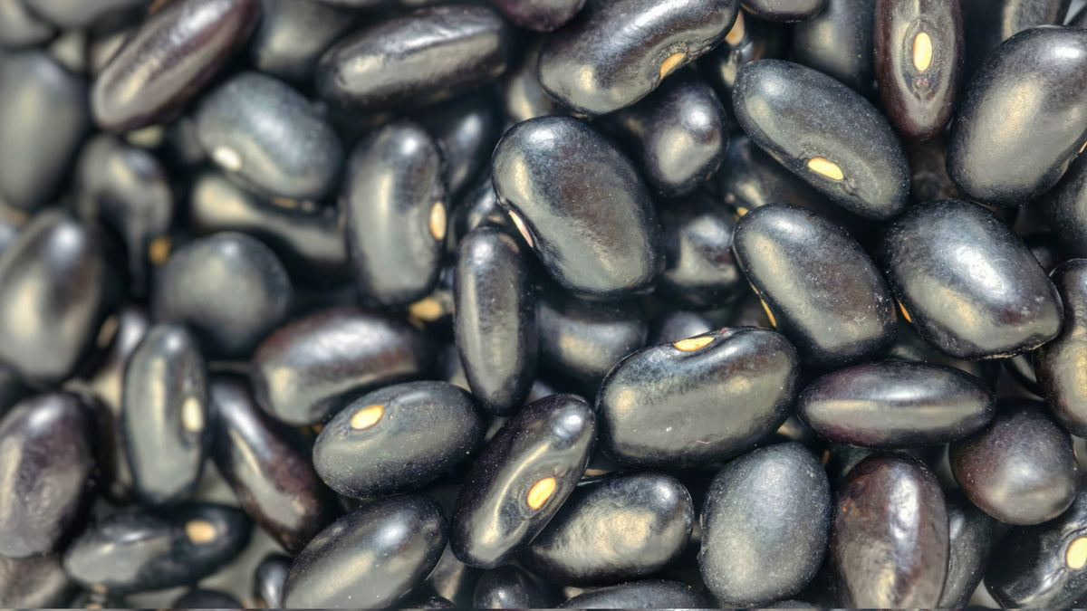 Black Rajma / काला घेवडा