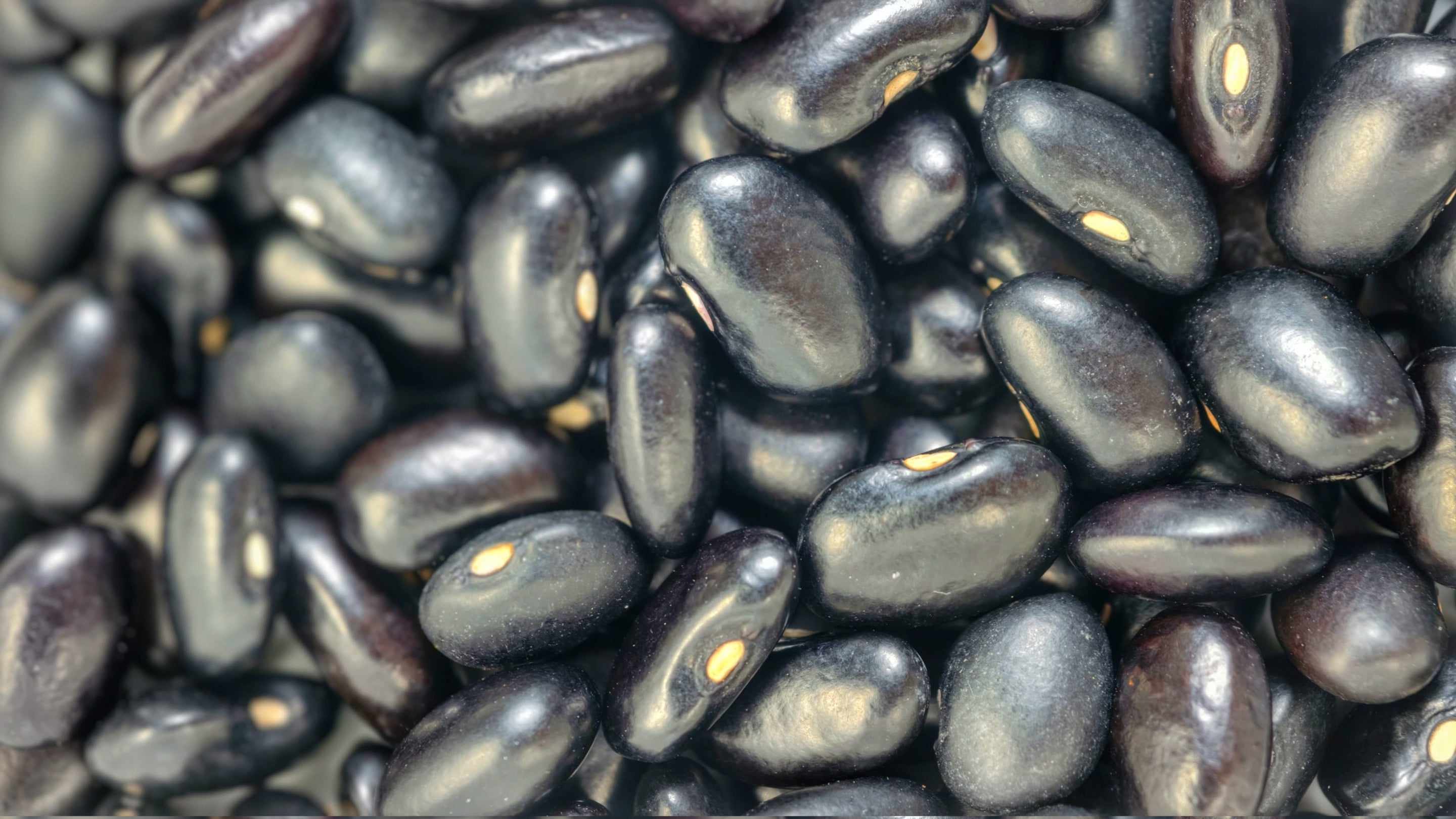 Black Rajma / काला घेवडा