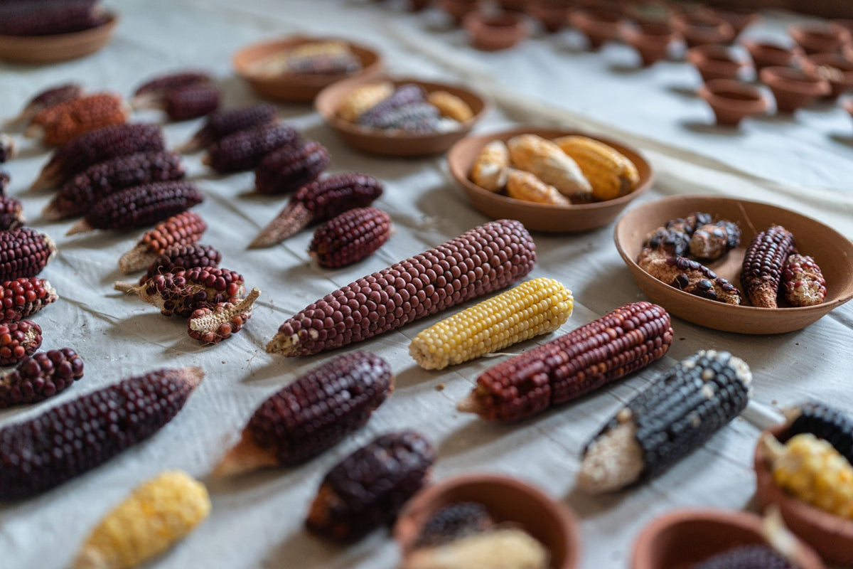 OOO Farms’ Indigenous Produce