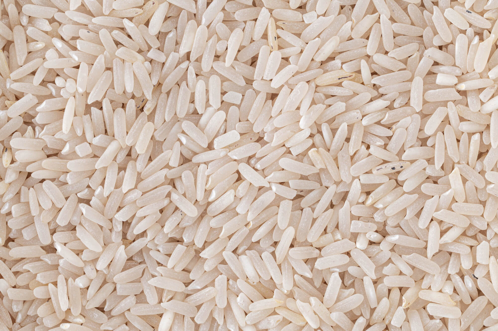 Jasmine Black Rice (Semi Polished)