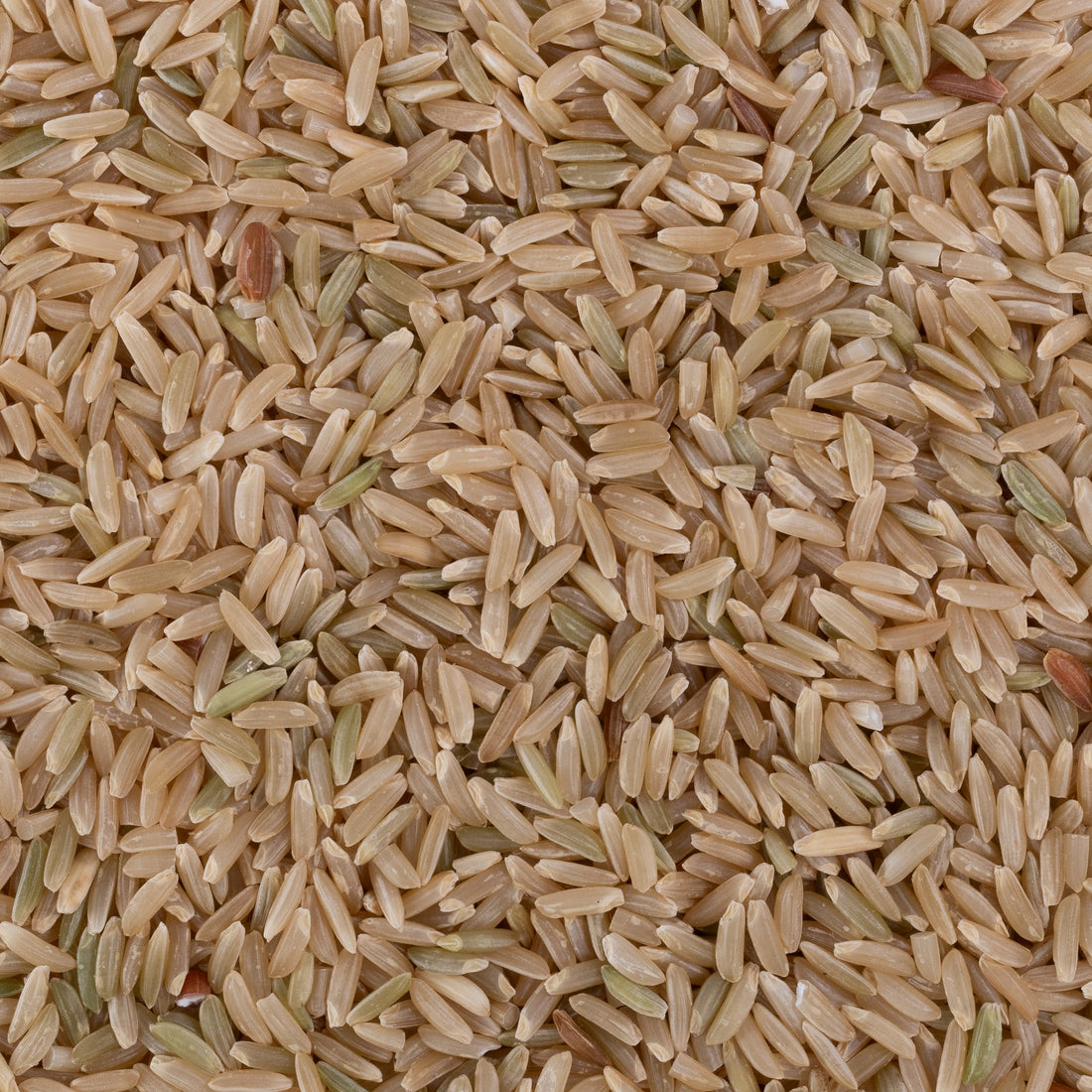 Kali Gajara Rice (Unpolished)
