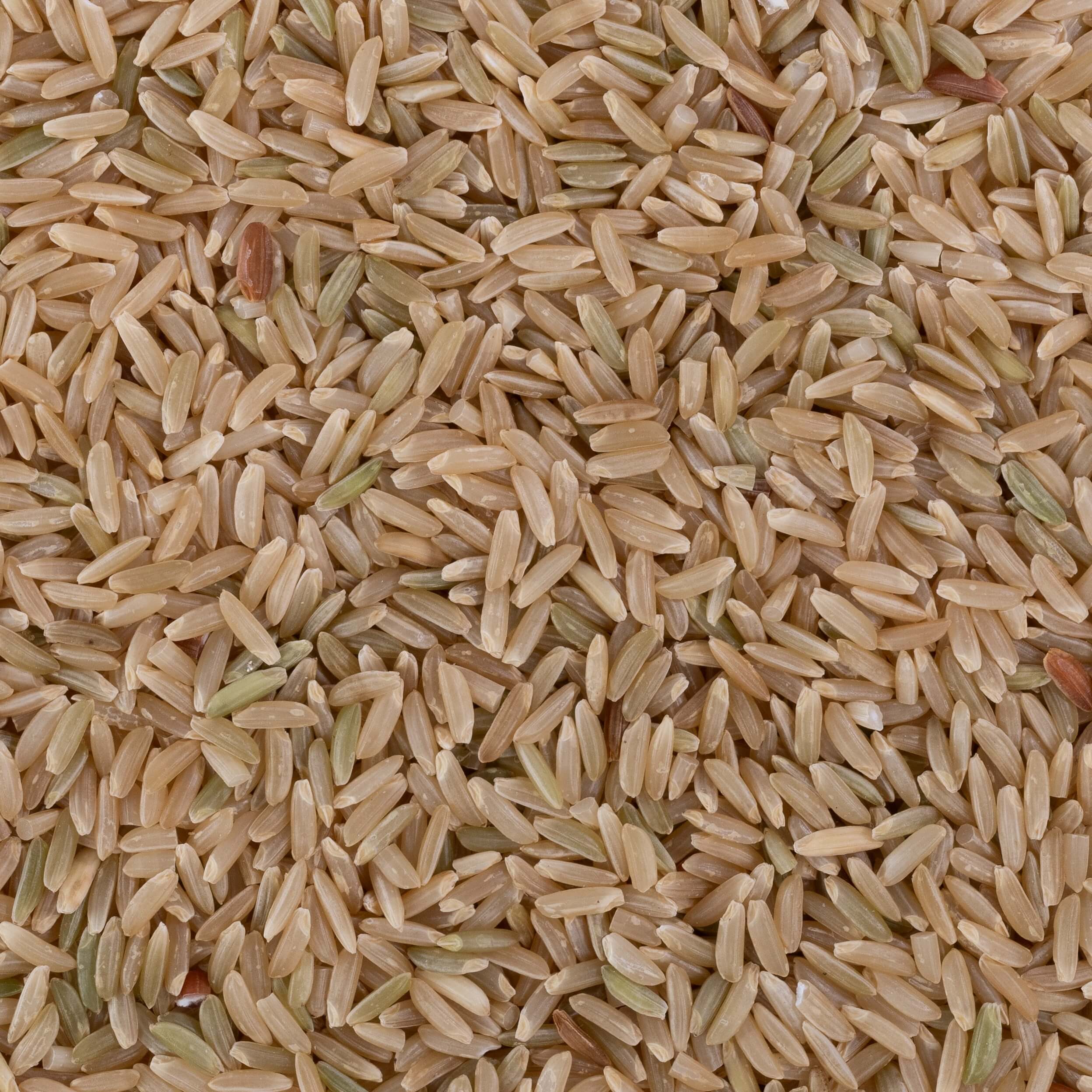 Kali Gajara Rice (Unpolished) – OOO Farms
