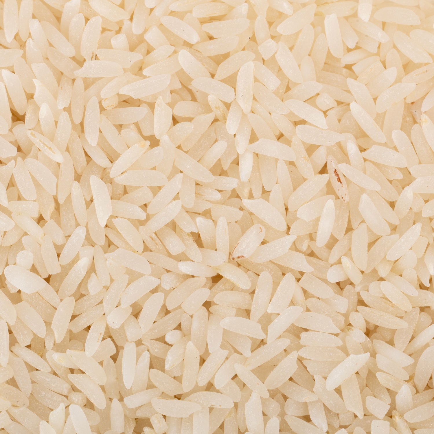 Kali Gajara Rice (Semi Polished)