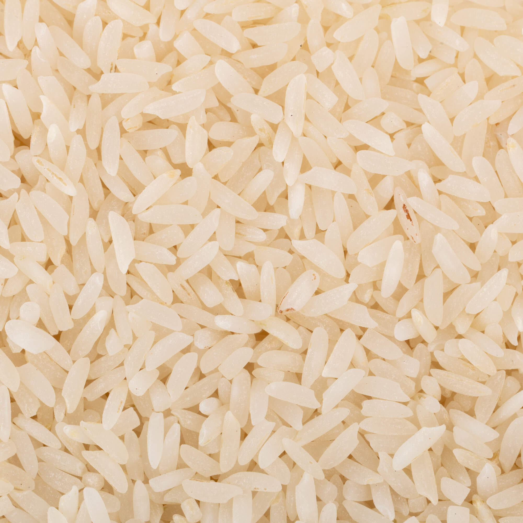 Kali Gajara Rice (Semi Polished) – OOO Farms
