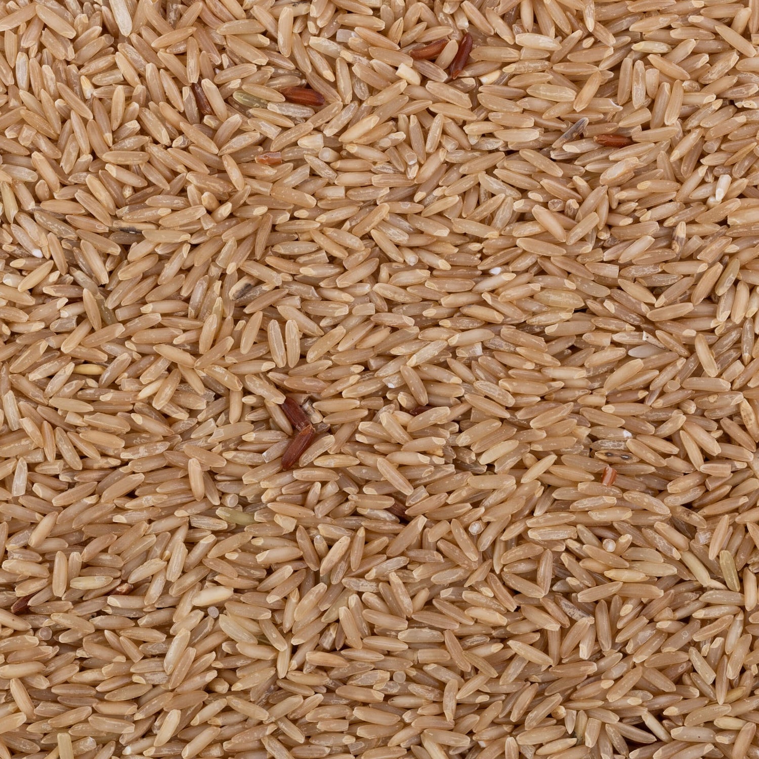 Kali Mooch Rice (Unpolished)