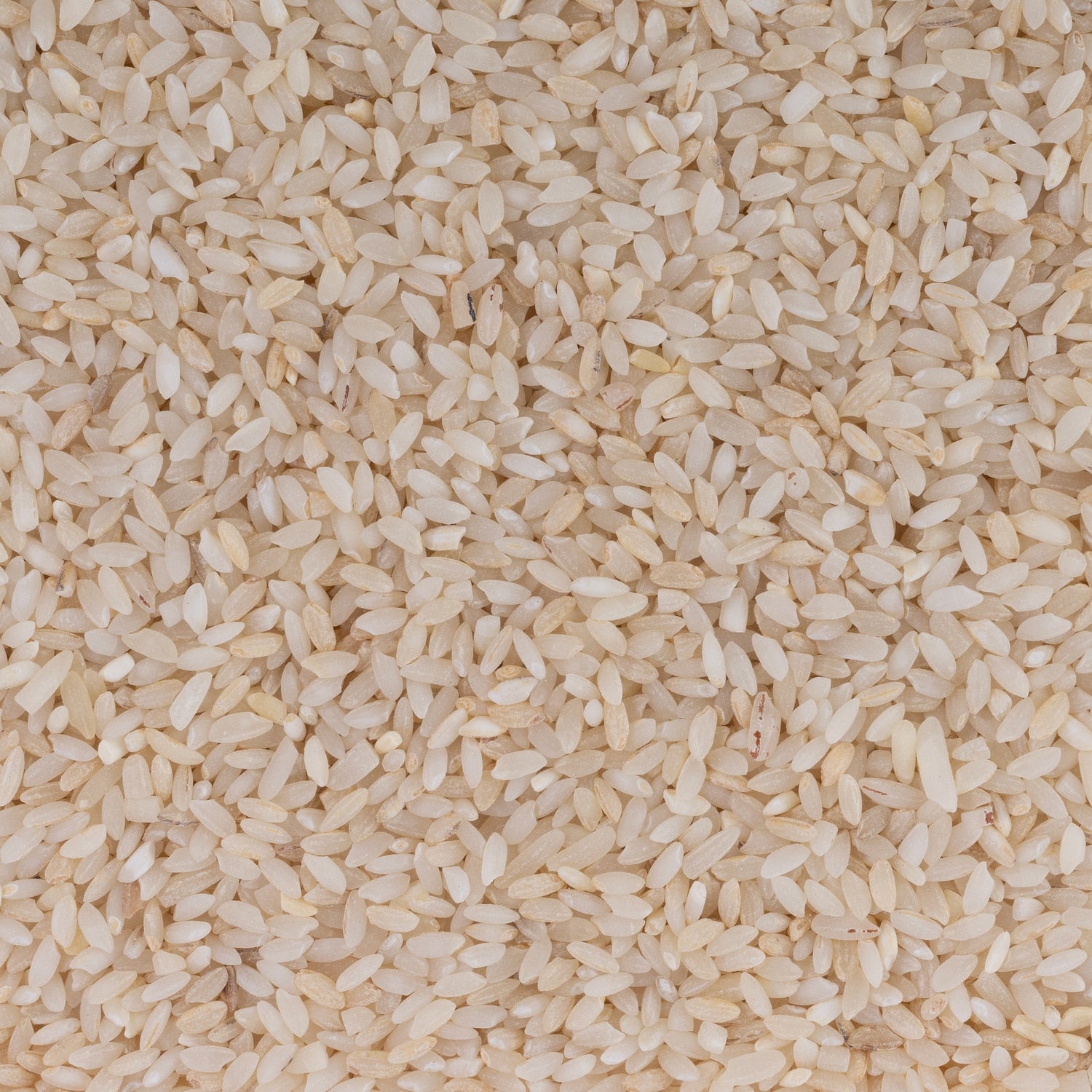 Kaskani Rice (Semipolished)