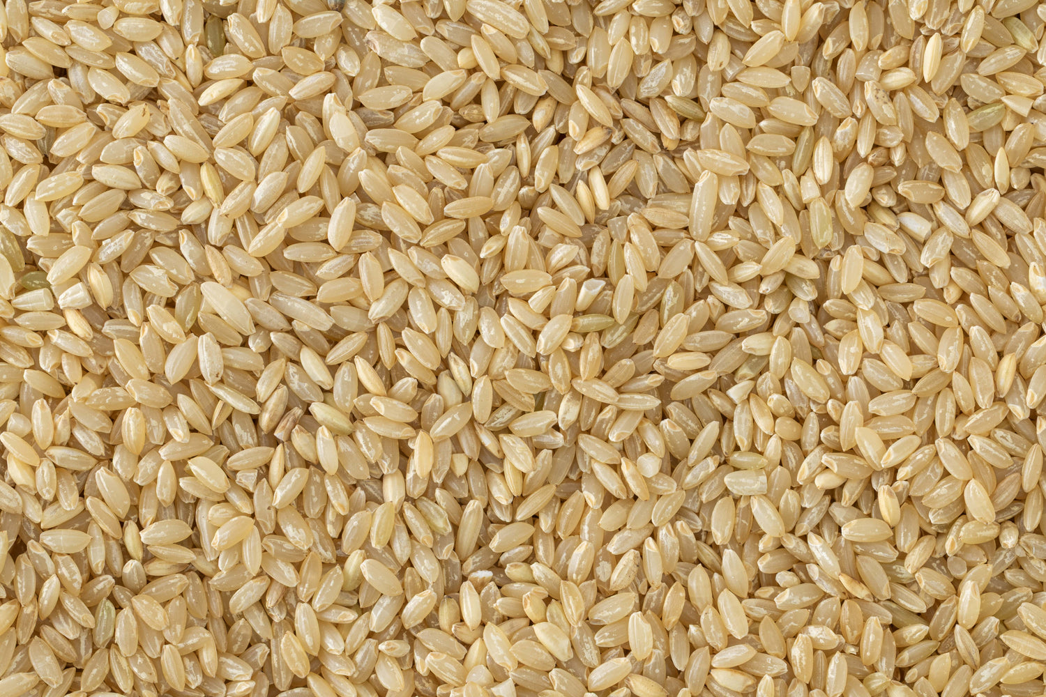 Kaskani Rice (Unpolished)