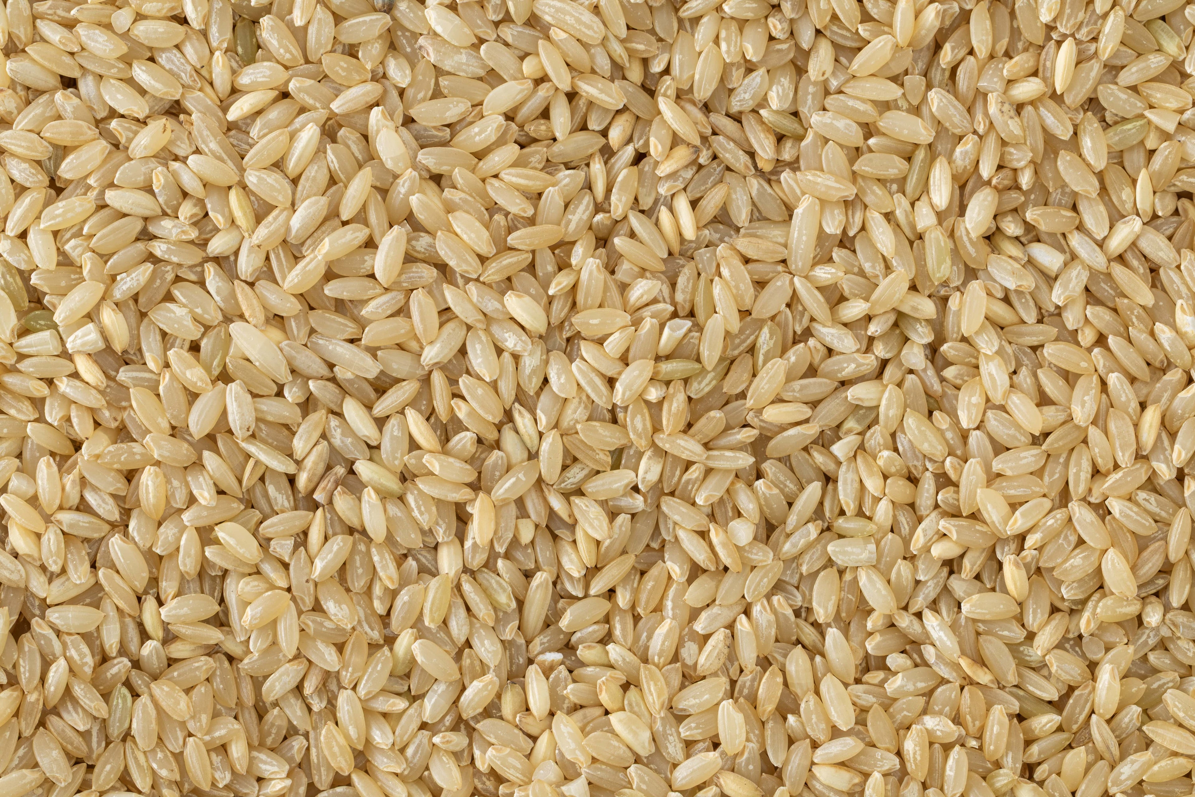 Kaskani Rice (Unpolished)