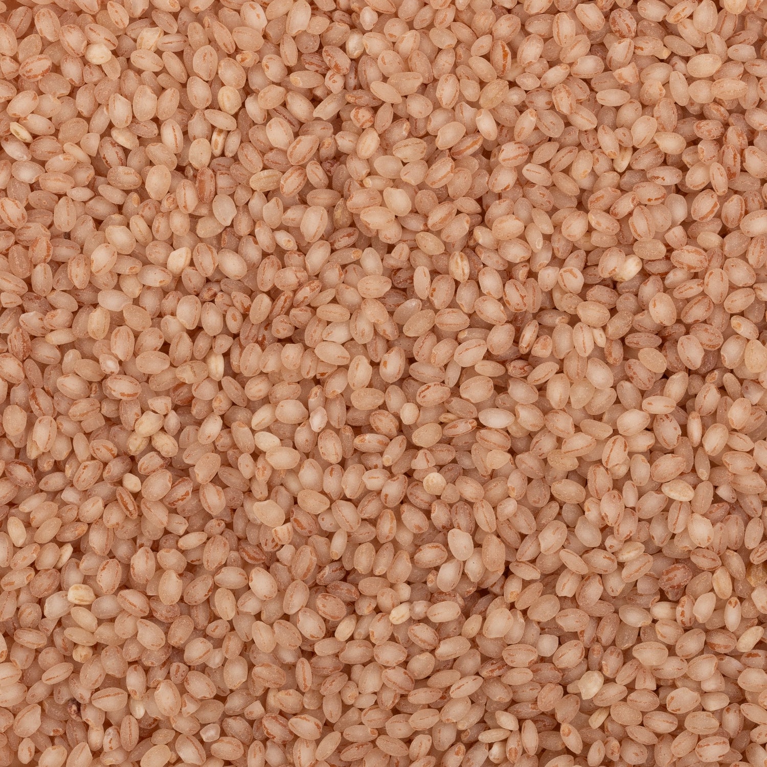 Kurwa Rice (Semipolished)
