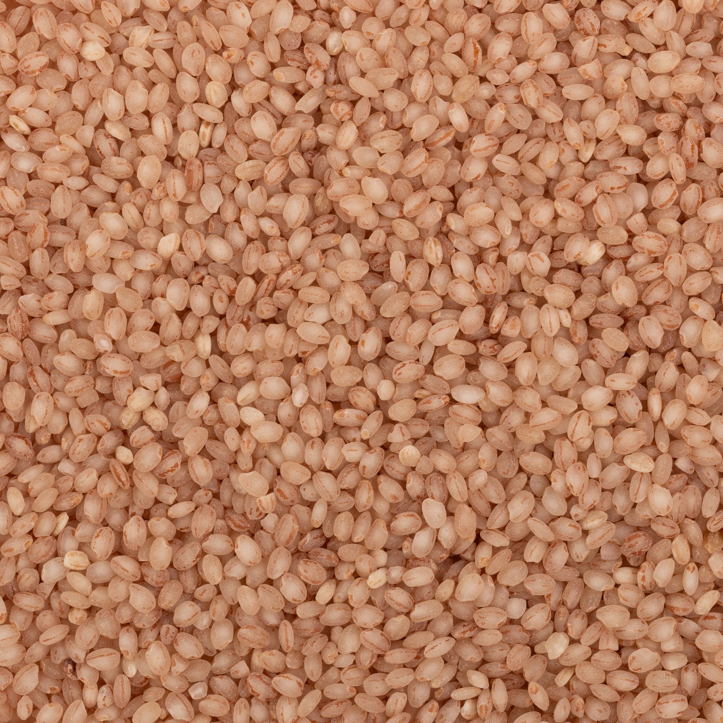 Kurwa Rice (Semipolished)