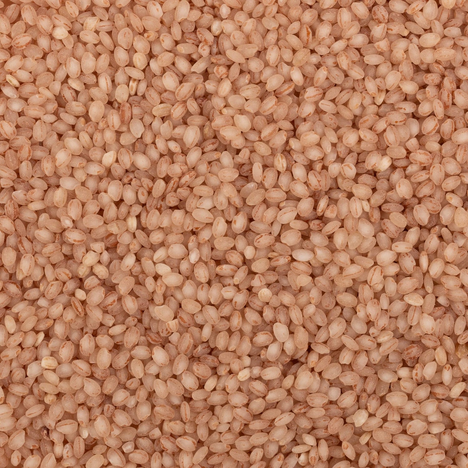 Kurwa Rice (Semipolished)