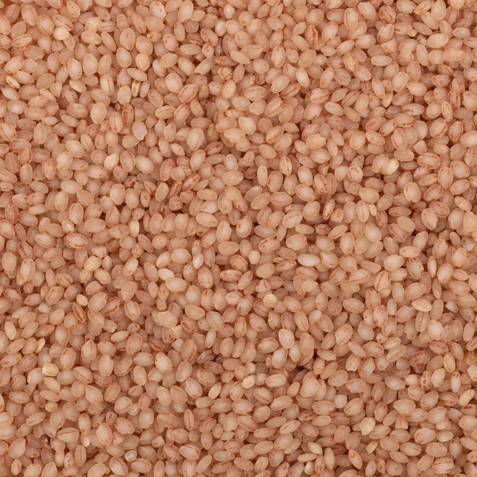 Kurwa Rice (Semipolished)