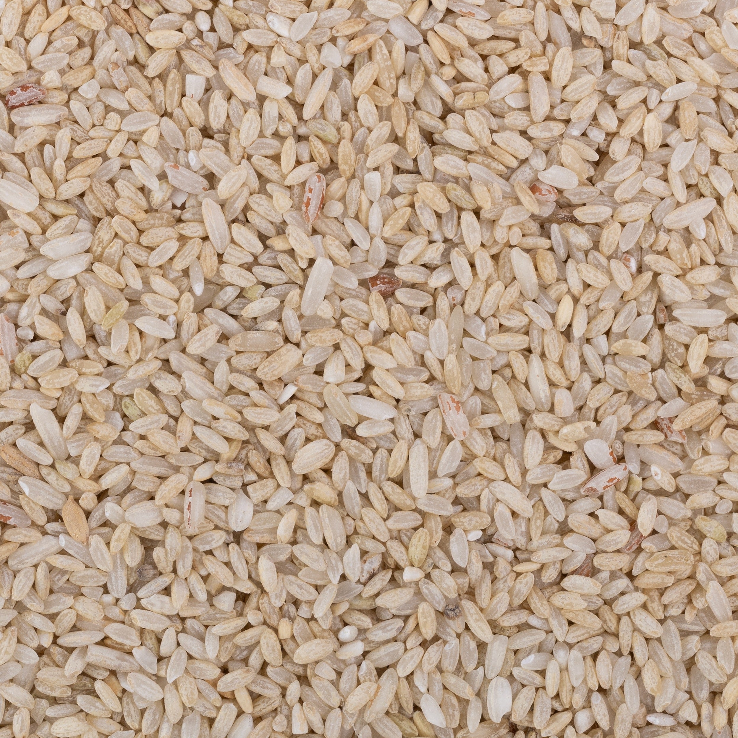 Mohanbhog Rice (Semipolished) – OOO Farms