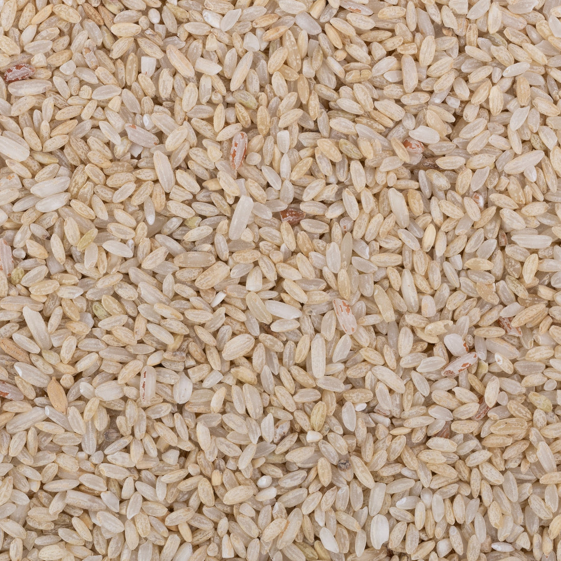 Mohanbhog Rice (Semipolished) Mohanbhog Rice (Semipolished)
