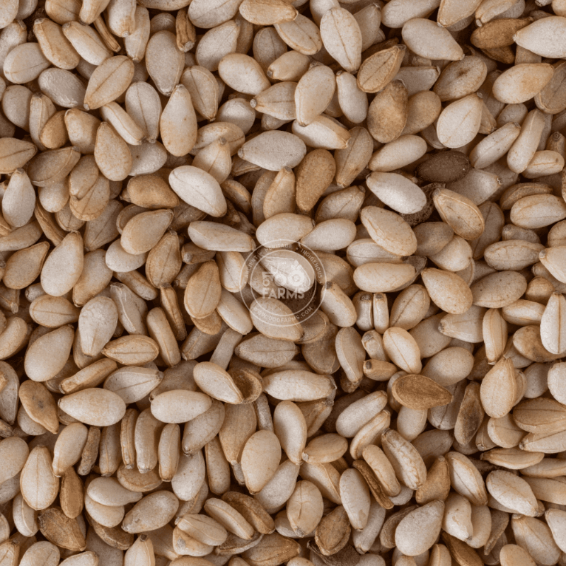 White Sesame / सफेद तीळ