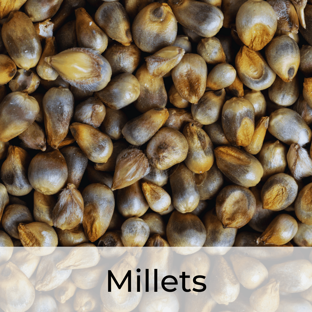 OOO Farms Millets