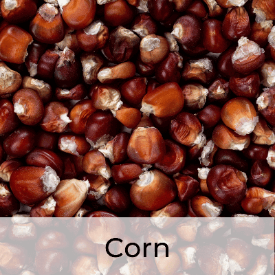 OOO Farms Corns