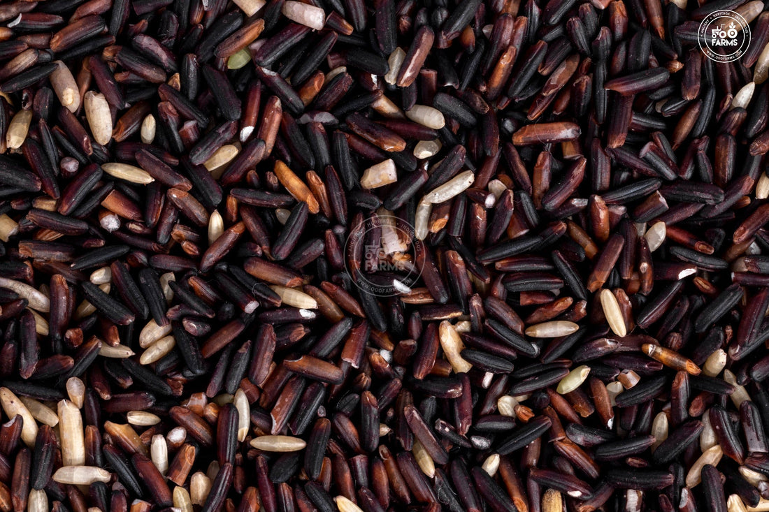 Jasmine Black Rice (Unpolished) OOO Farms Jasmine Black Rice