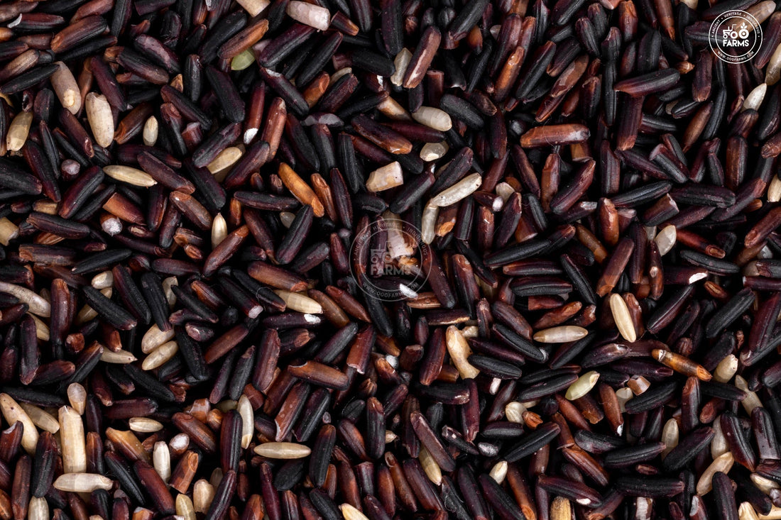 OOO Farms Jasmine Black Rice