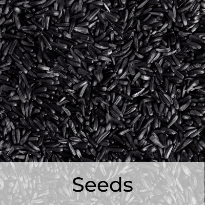 OOO Farms Seeds