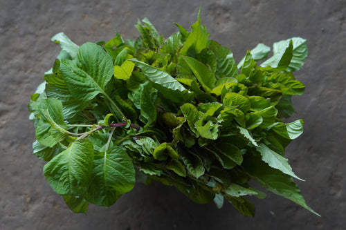 Kurdu / कुर्डू / Silver Cock’s Comb / Celosia argentea L.
