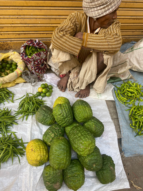 Mahlung / महाळुंग / Citron / Citrus medica