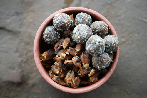 Moh / Mohati / मोह / मोहाटी / Mahua / Madhuca longifolia