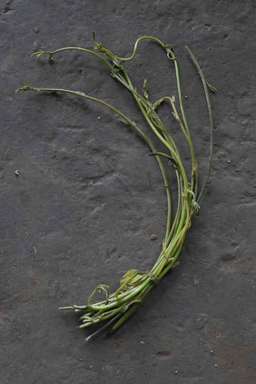 Ulshi / Chai Vel / उळशी / Five Leaf Yam / Dioscorea pentaphylla Var. Pentaphylla