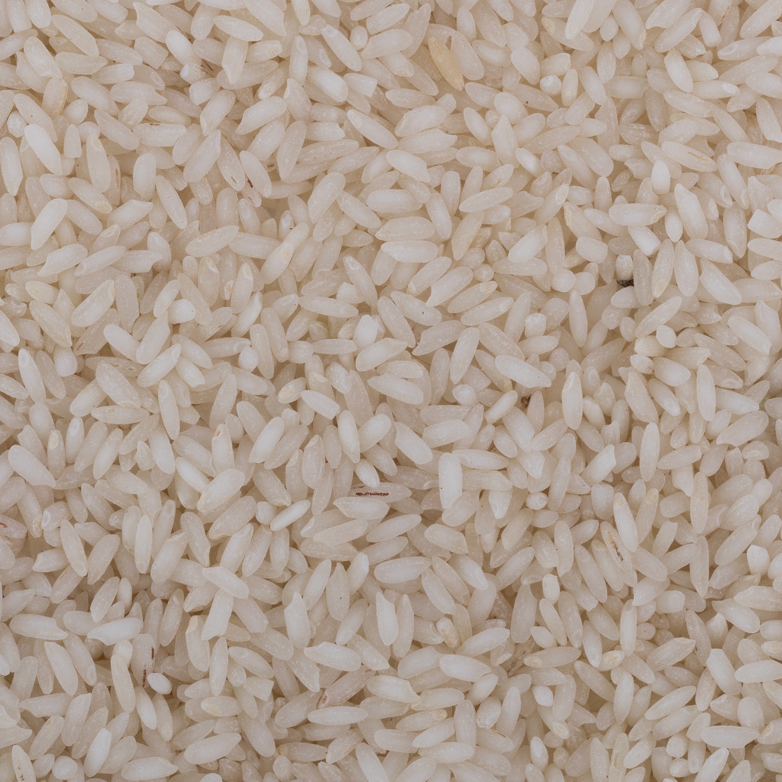 Salem Sanna Rice (Semipolished) – OOO Farms