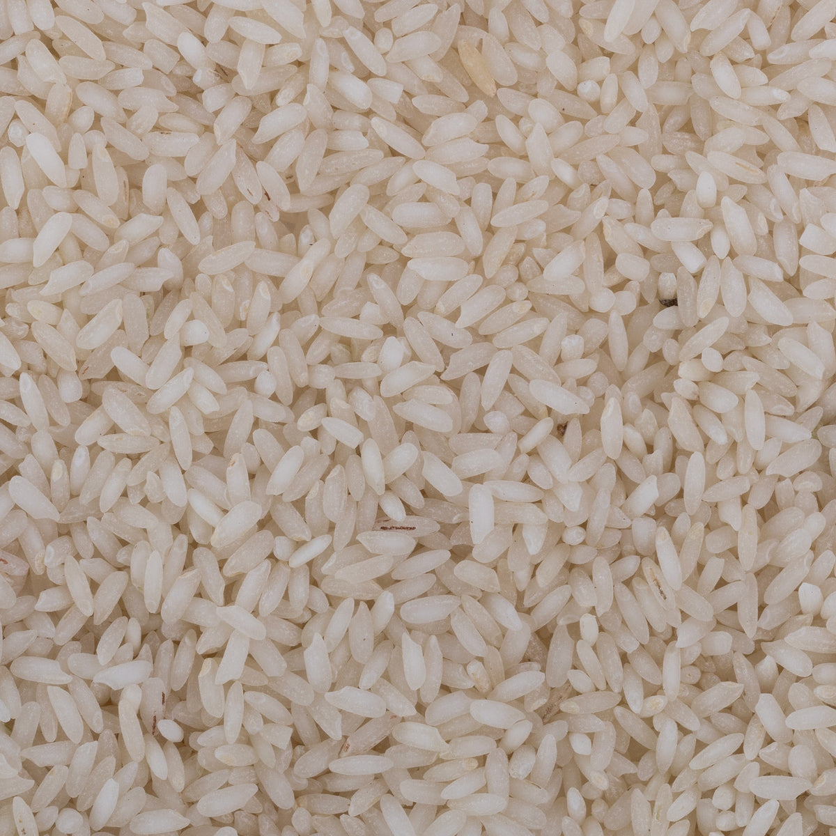 Salem Sanna Rice (Semipolished)
