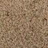 Salem Sanna Rice (Unpolished)