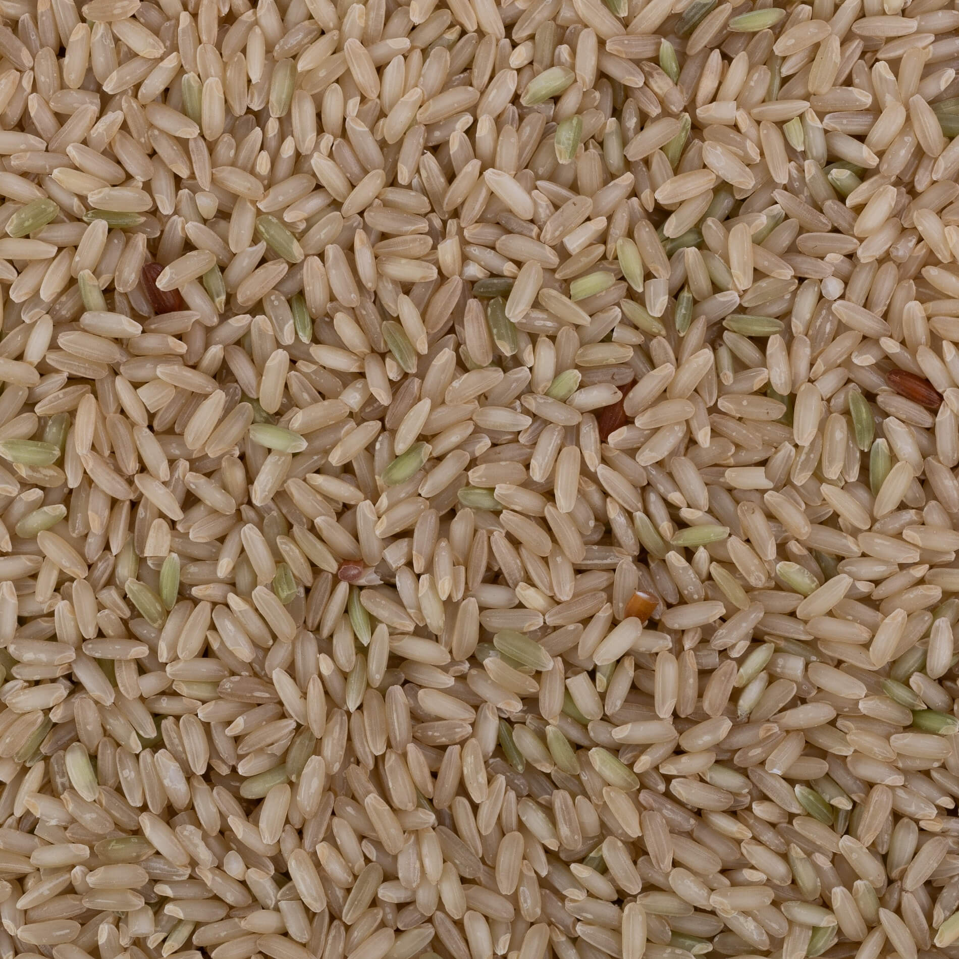 Selam Rice Salem Sanna Rice (Unpolished) – OOO Farms