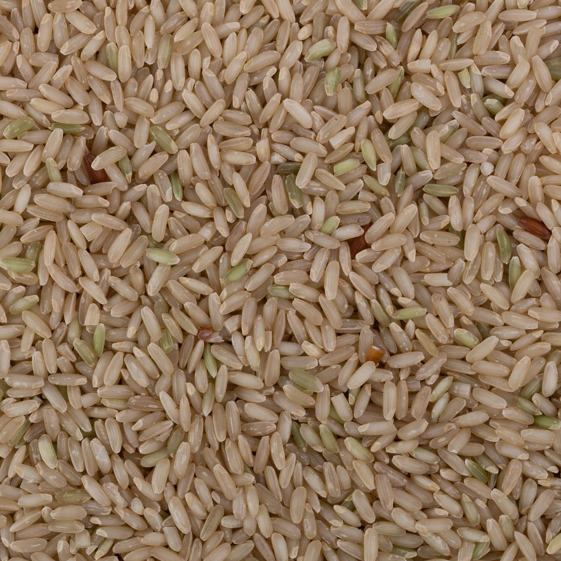 Salem Sanna Rice (Unpolished)
