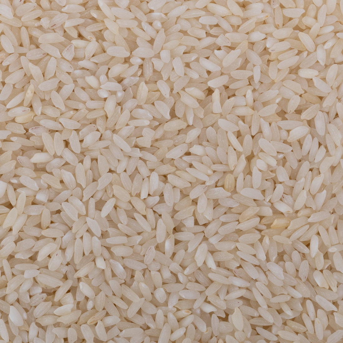 Stony Ambemohar Rice (Semipolished) Stony Ambemohar Rice (Semipolished)